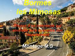 183 D23 BORMES LES MIMOSAS